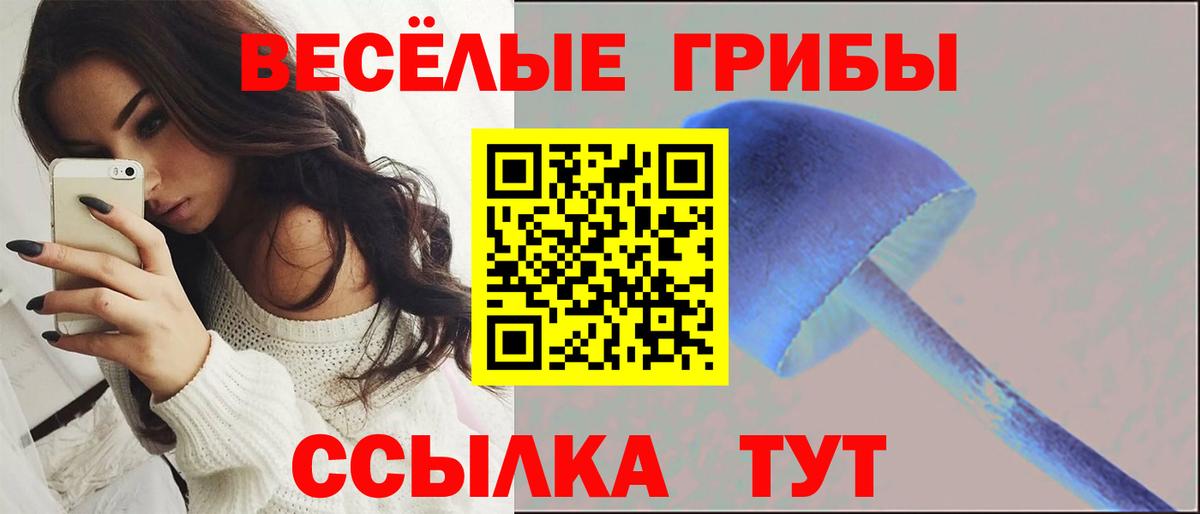 как найти закладки  Вход с VPN  Алексеевка  Псилоцибиновые грибы прущие грибы 